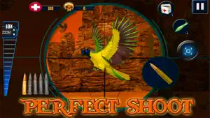 野生金色鸟猎人：狩猎模拟器免费