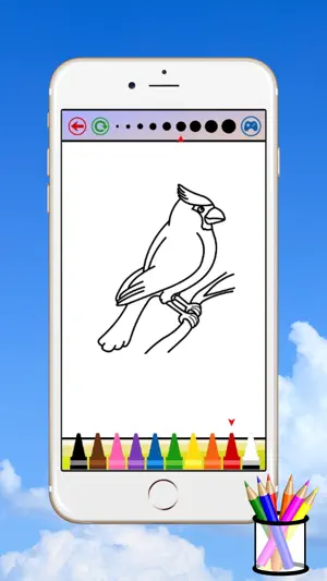 鸟图画书为孩子